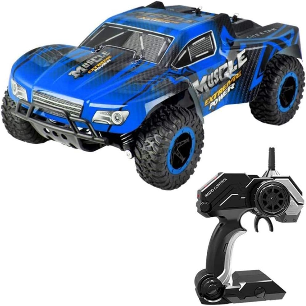 Voiture télécommandée 30 km/h tout terrain | APEX RC