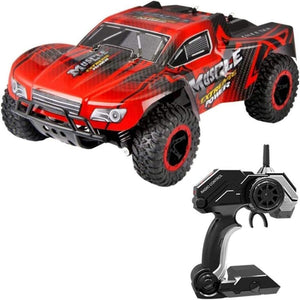 Voiture télécommandée 30 km/h tout terrain | APEX RC